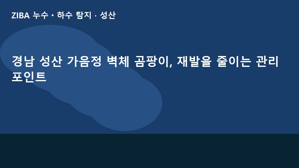 경남 성산 가음정 벽체 곰팡이, 재발을 줄이는 관리 포인트