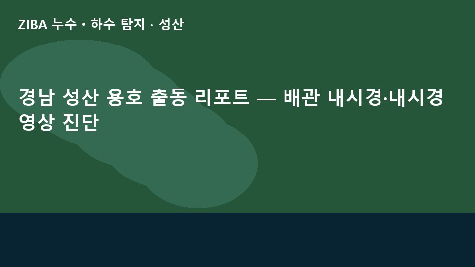 경남 성산 용호 출동 리포트 — 배관 내시경·내시경 영상 진단