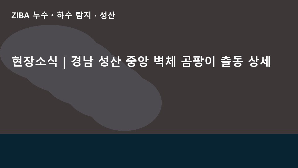 현장소식 | 경남 성산 중앙 벽체 곰팡이 출동 상세